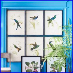 Set of 6 Vintage Style Hummingbird Prints Antique Look Blue Green Bird Botanical