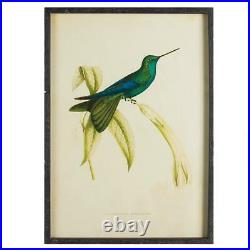 Set of 6 Vintage Style Hummingbird Prints Antique Look Blue Green Bird Botanical